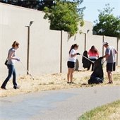 Volunteers cleaning up trail