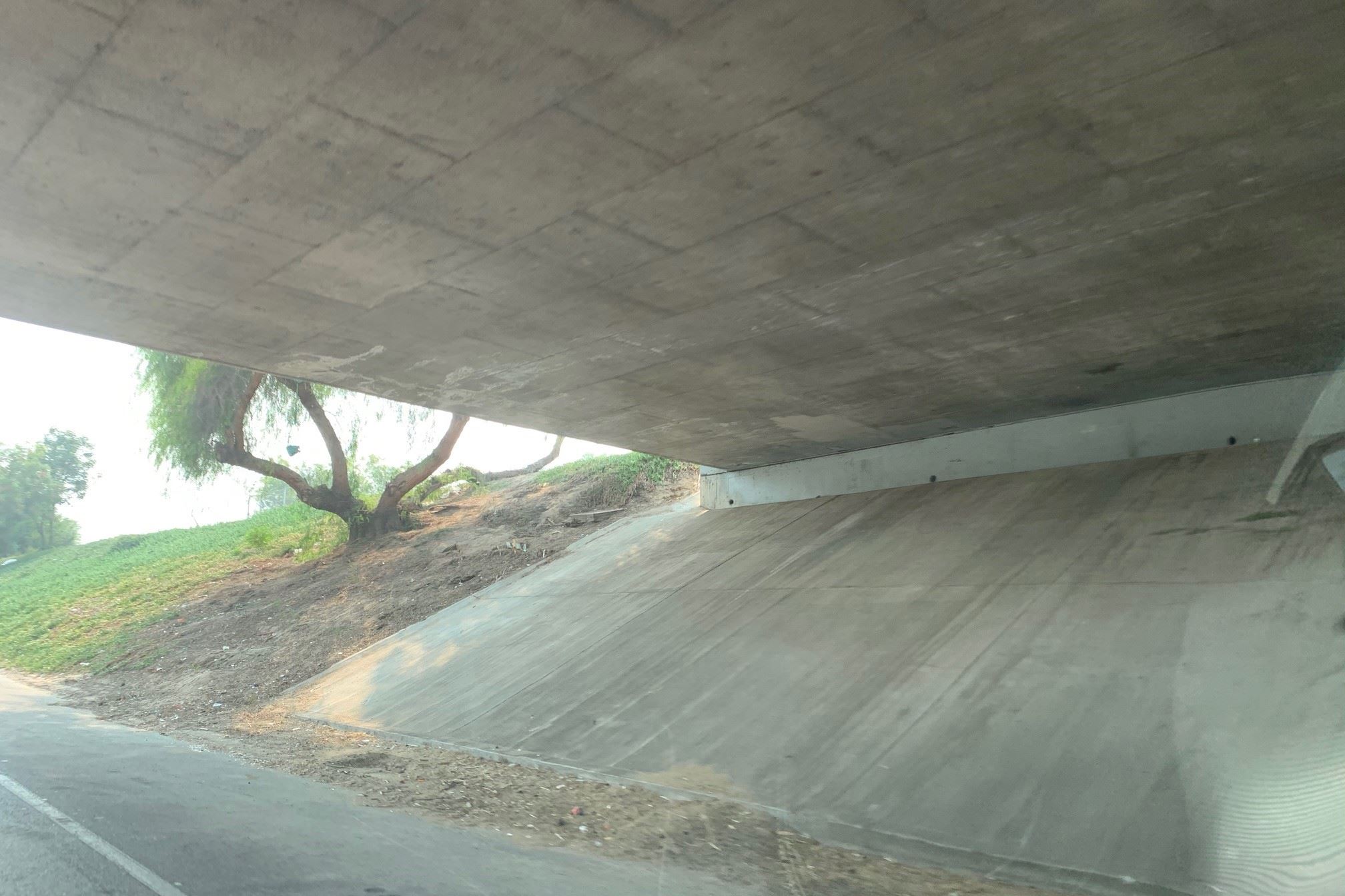 State Route 99 Underpass after cleanup