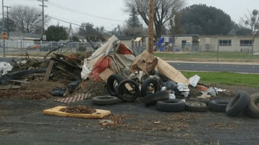 Blight Abatement - Picture